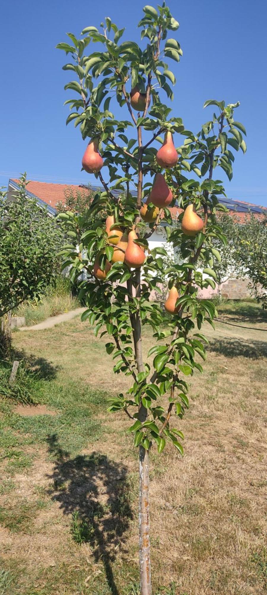 Hotel Cider&Squash, Grncarska 8, Prnjavor Batocina Kültér fotó